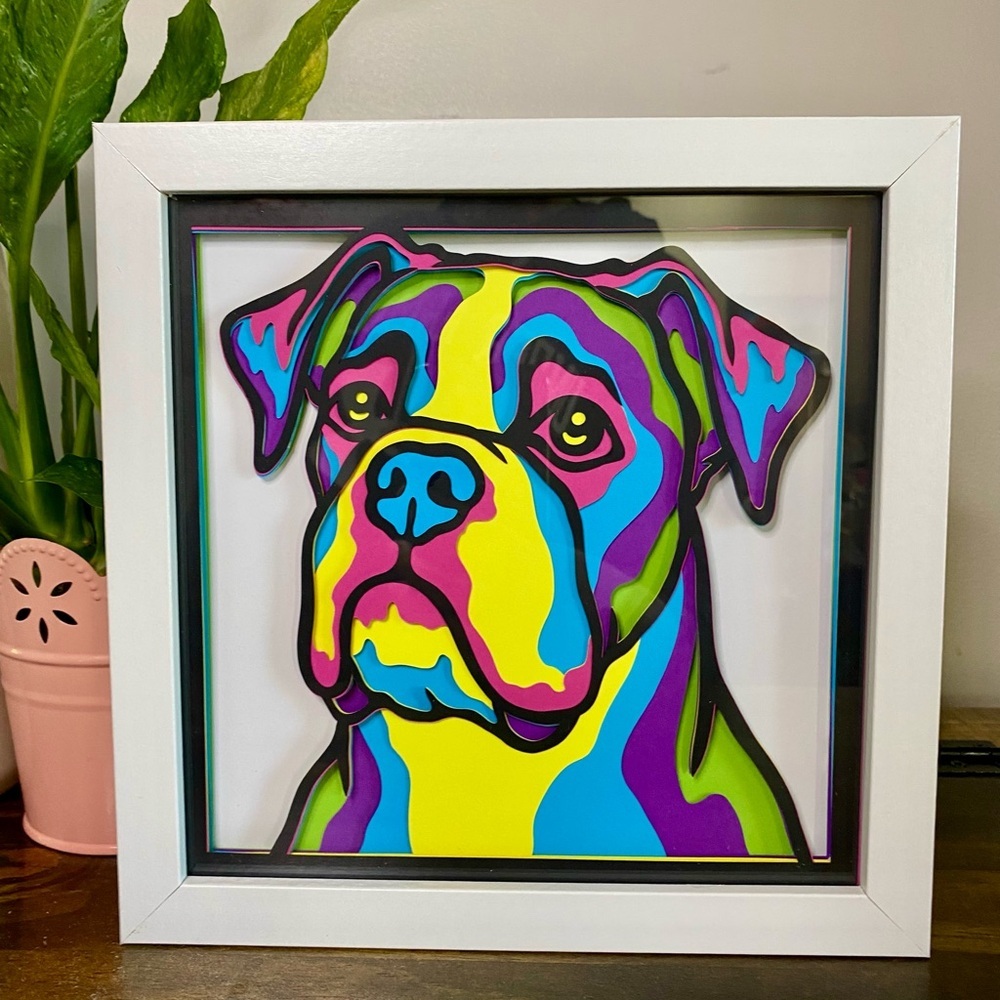 3D Boxer Multicolor Shadowbox - Picture 5 of 9